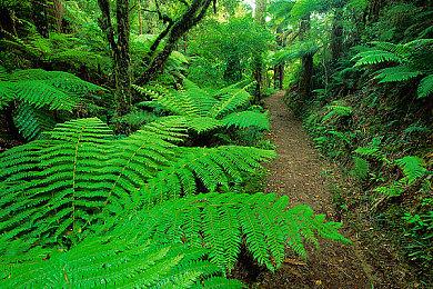 微软计划收购社交和休闲游戏开发商